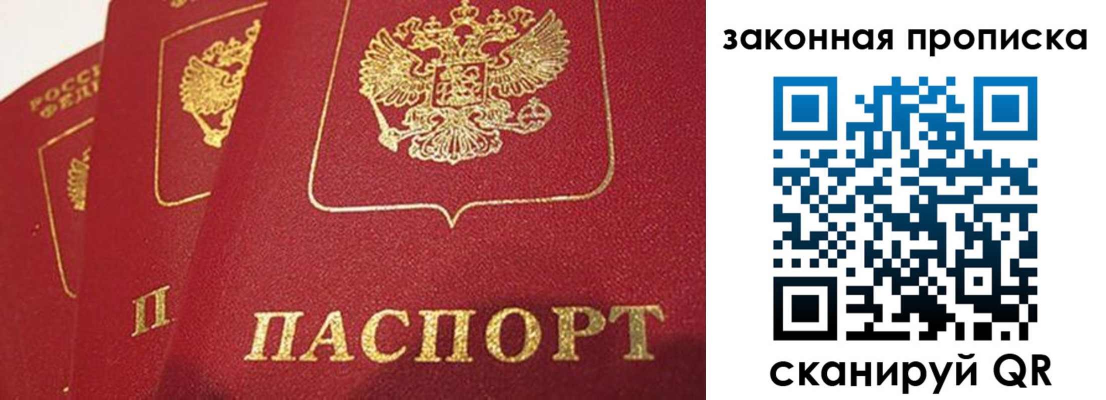 прописка гарантия в Клинцах